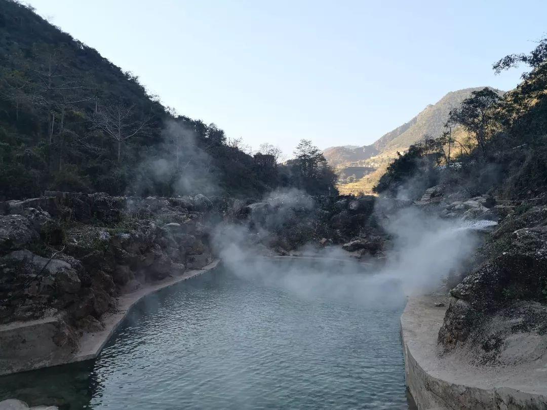 普洱熟茶怎么泡最佳-专业问答网站